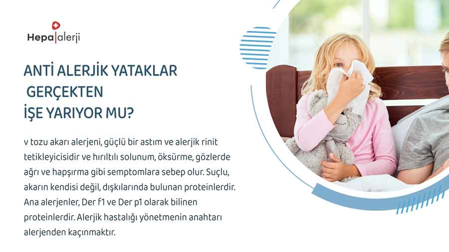 Anti Alerjik Yataklar Gerçekten İşe Yarıyor mu?