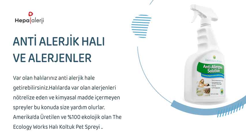 Anti alerjik (Antialerjik halı) halı ve alerjenler