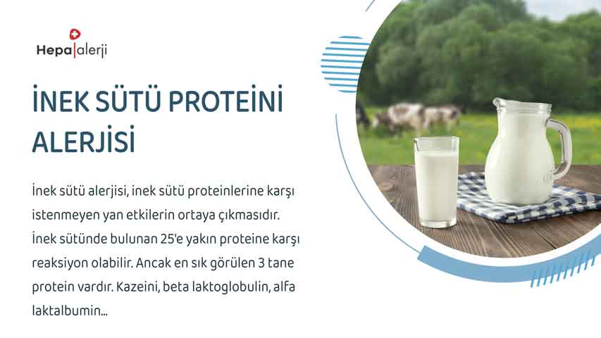 İnek sütü proteini alerjisi