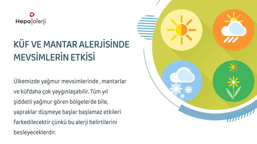 Küf ve Mantar Alerjisinde Mevsimlerin Etkisi
