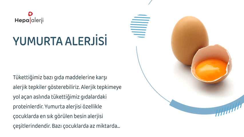 Yumurta alerjisi