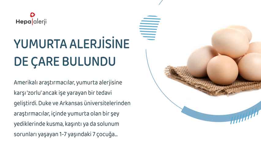 Yumurta alerjisine de çare bulundu